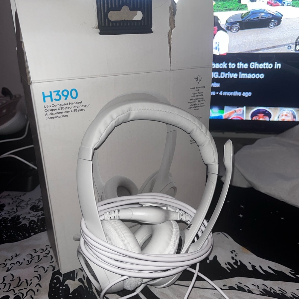 h390 Logitech headphones